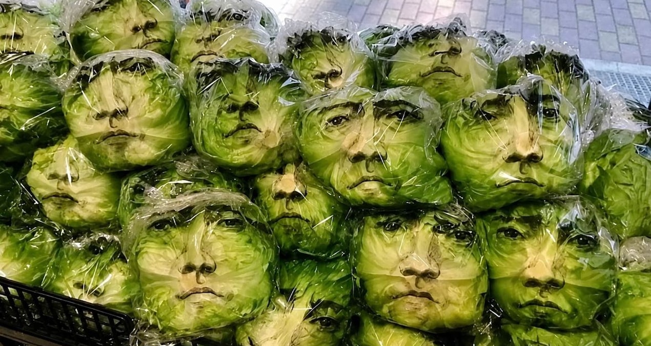 Haber gorseli