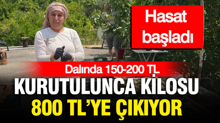 haber-gorseli-1786463377709