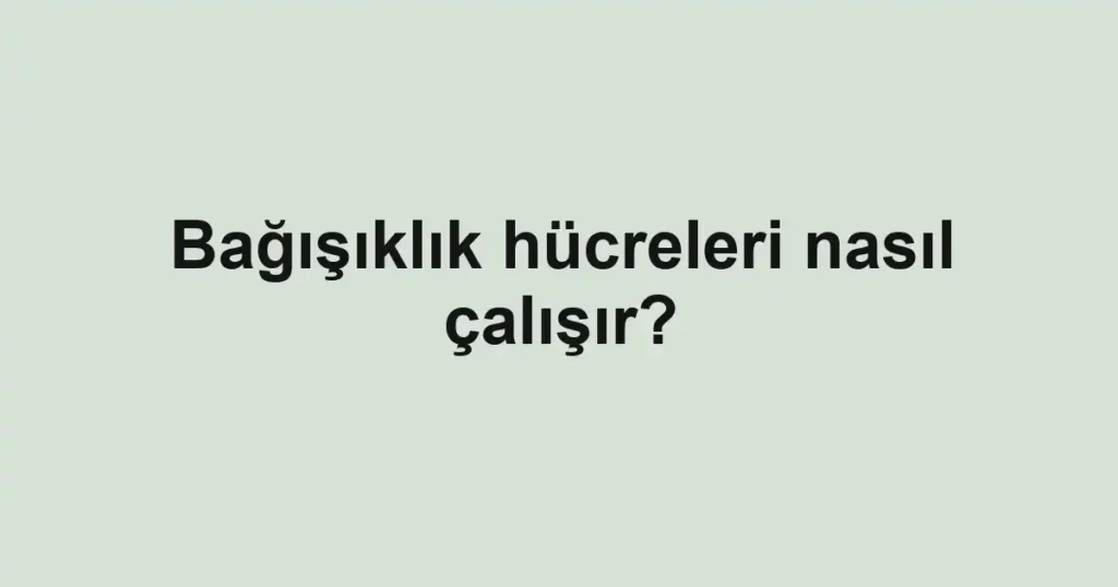 Bağışıklık hücreleri nasıl çalışır?